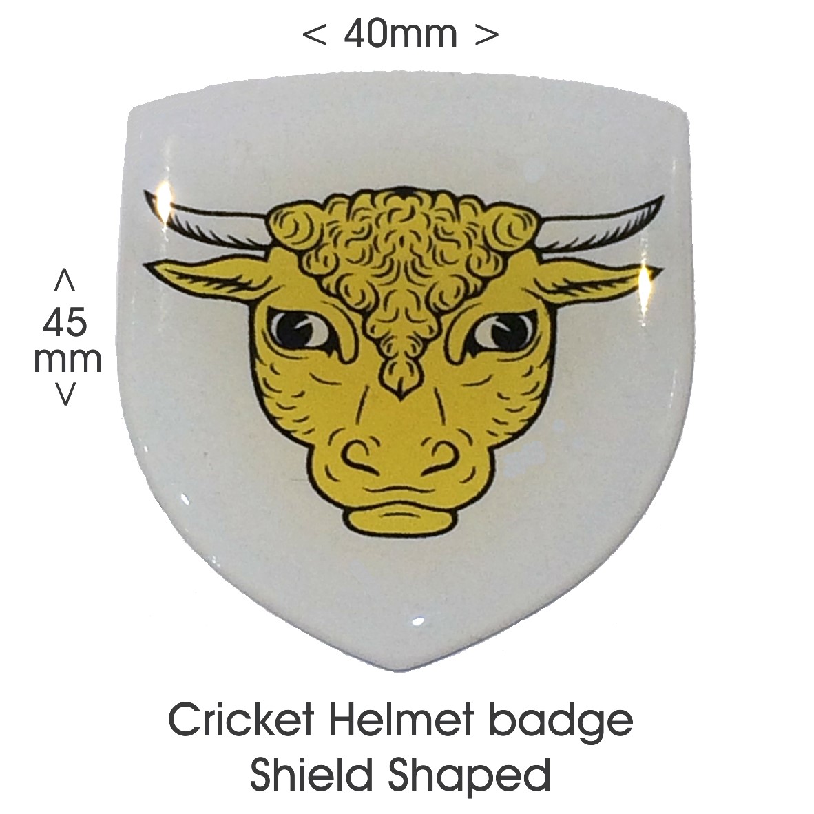 Helmet Badge Shield Shape