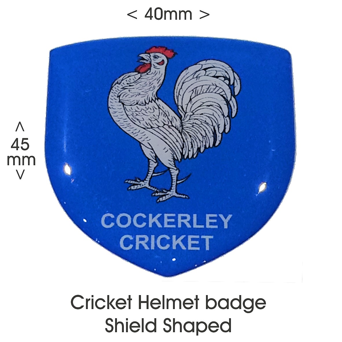 Helmet Badge Shield Shape