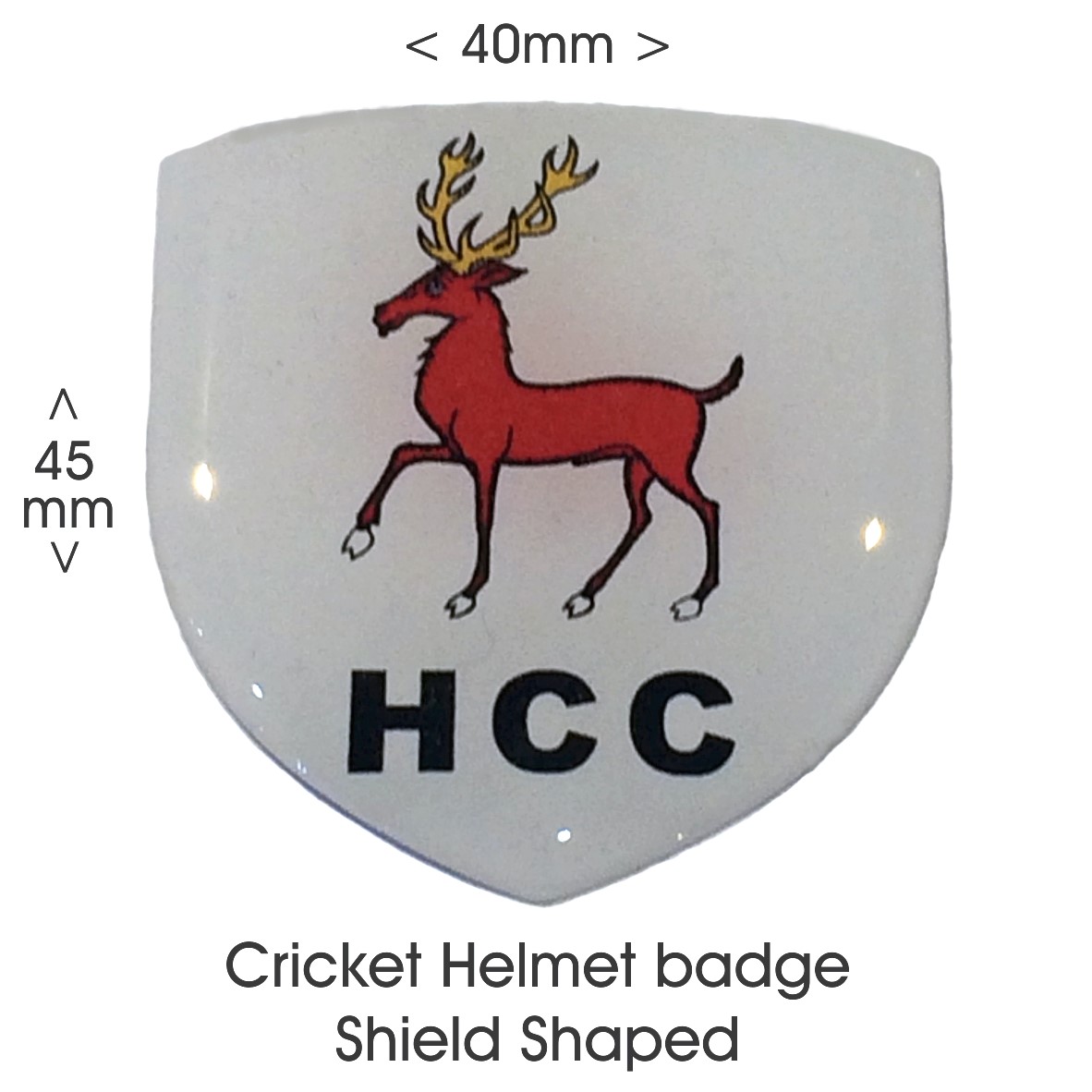 Helmet Badge Shield Shape