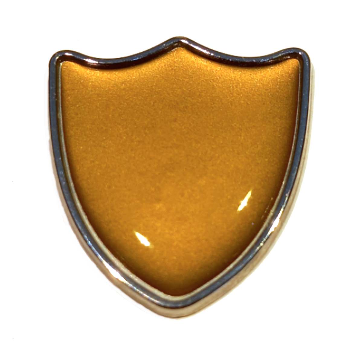 Bronze shield badge