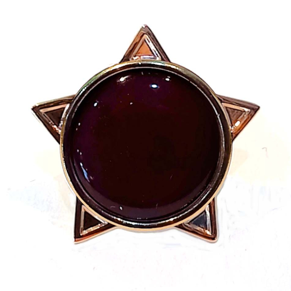 Brown star badge