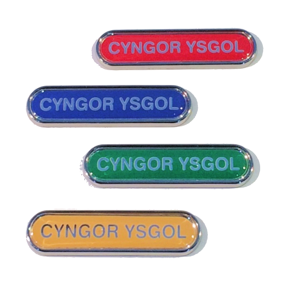 CYNGOR YSGOL bar badge