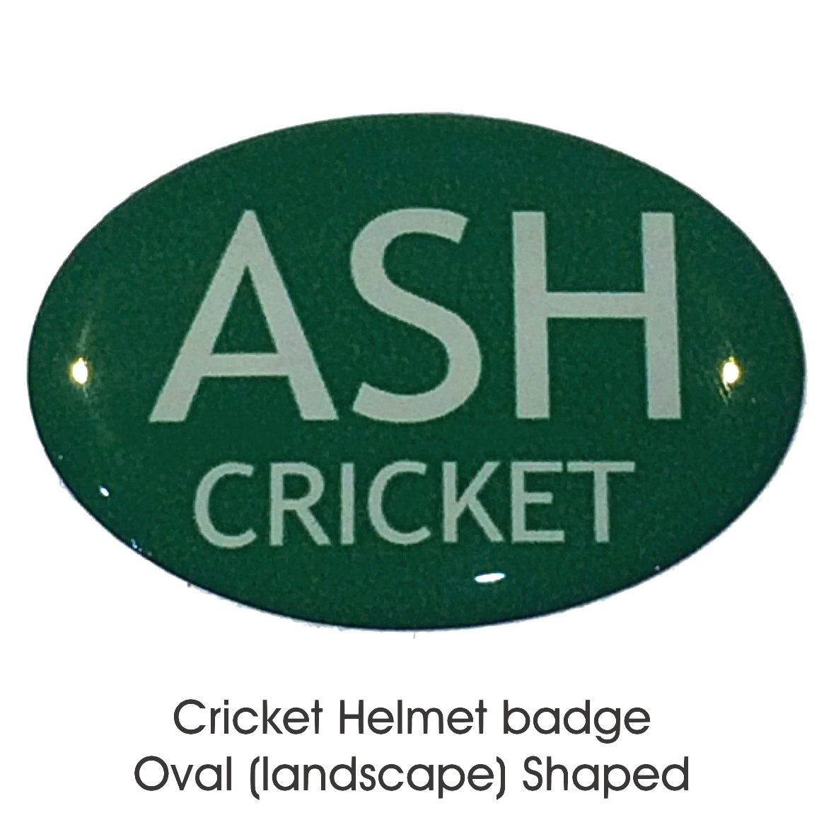 Helmet Badge Oval [Landscape]