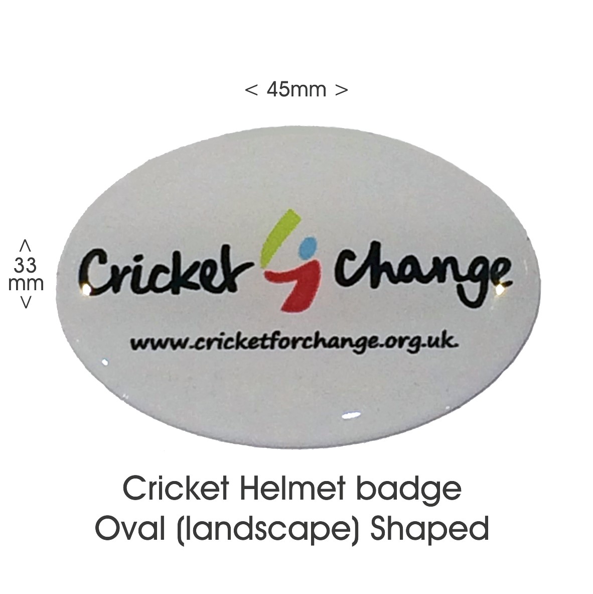 Helmet Badge Oval [Landscape]