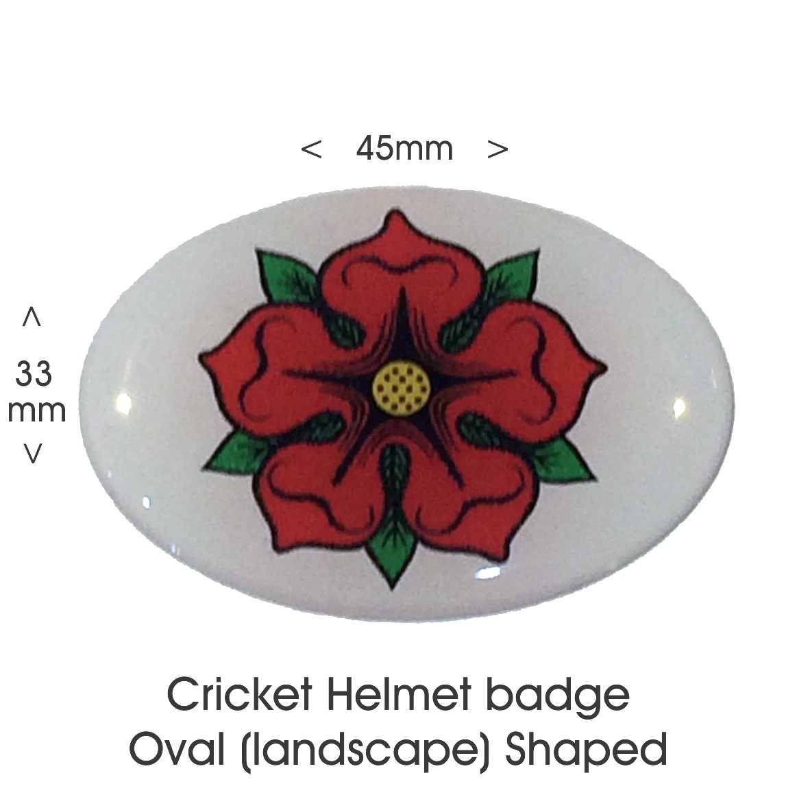 Helmet Badge Oval [Landscape]