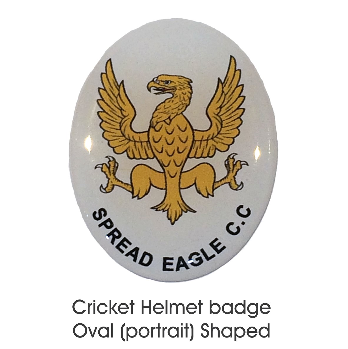 Helmet Badge Oval [Portrait]