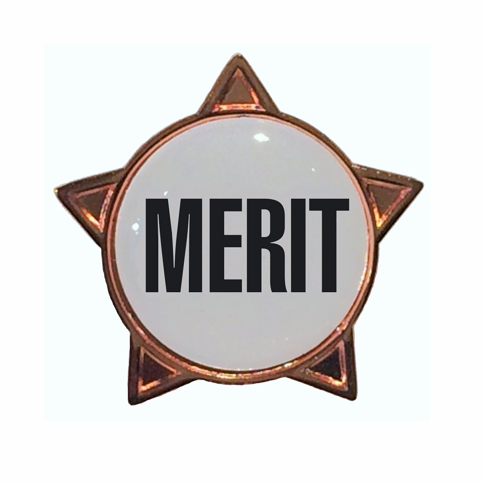 MERIT star badge