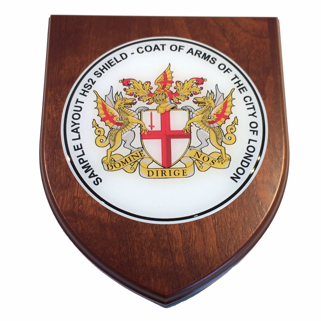 Presentation shield with large round shaped centrepiece.