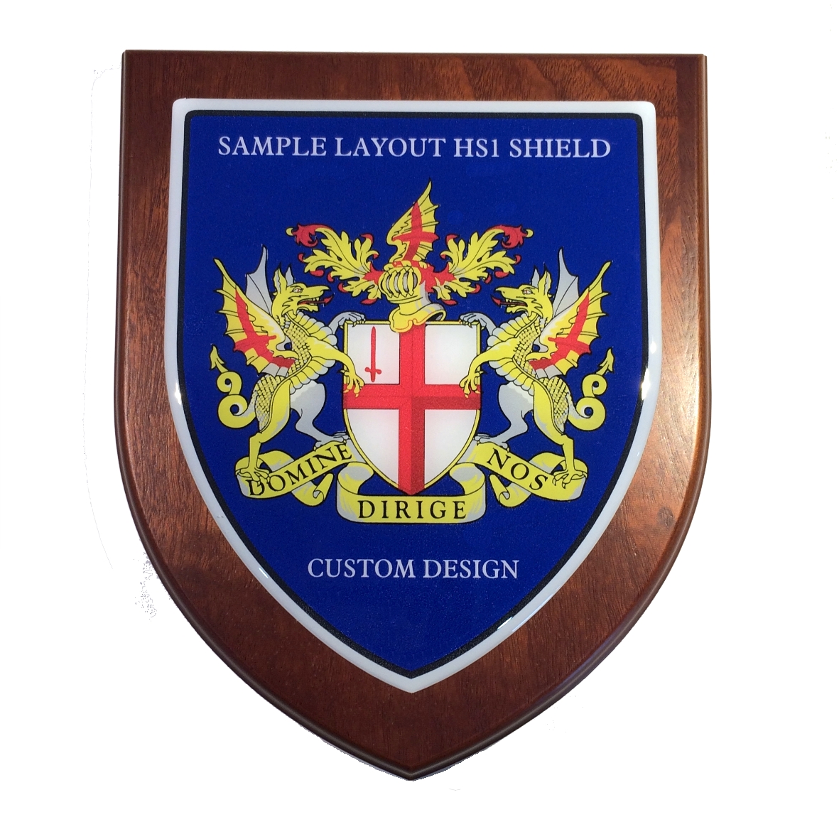 Presentation shield with large shield shaped centrepiece.