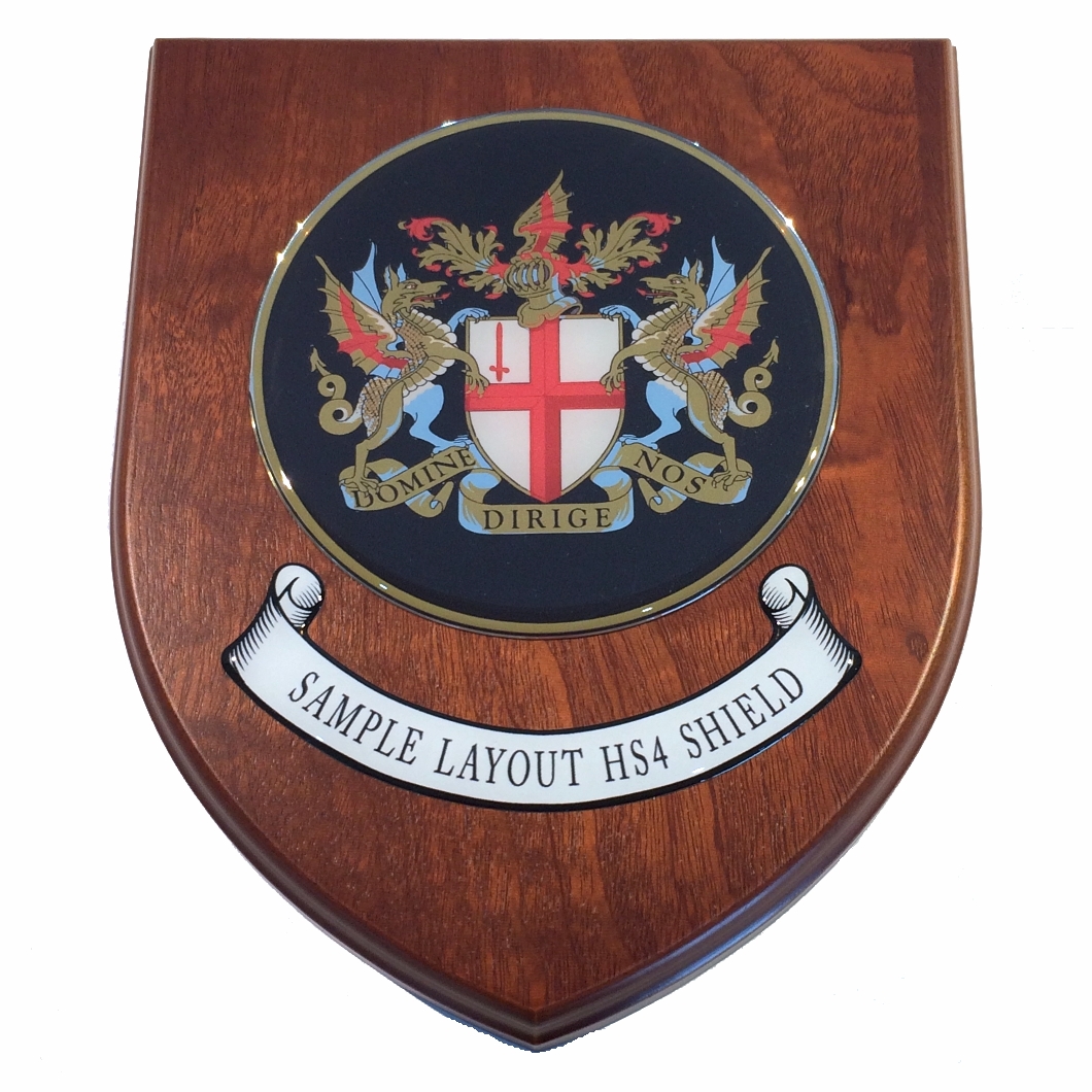 Presentation shield with medium round shaped centrepiece and scroll.