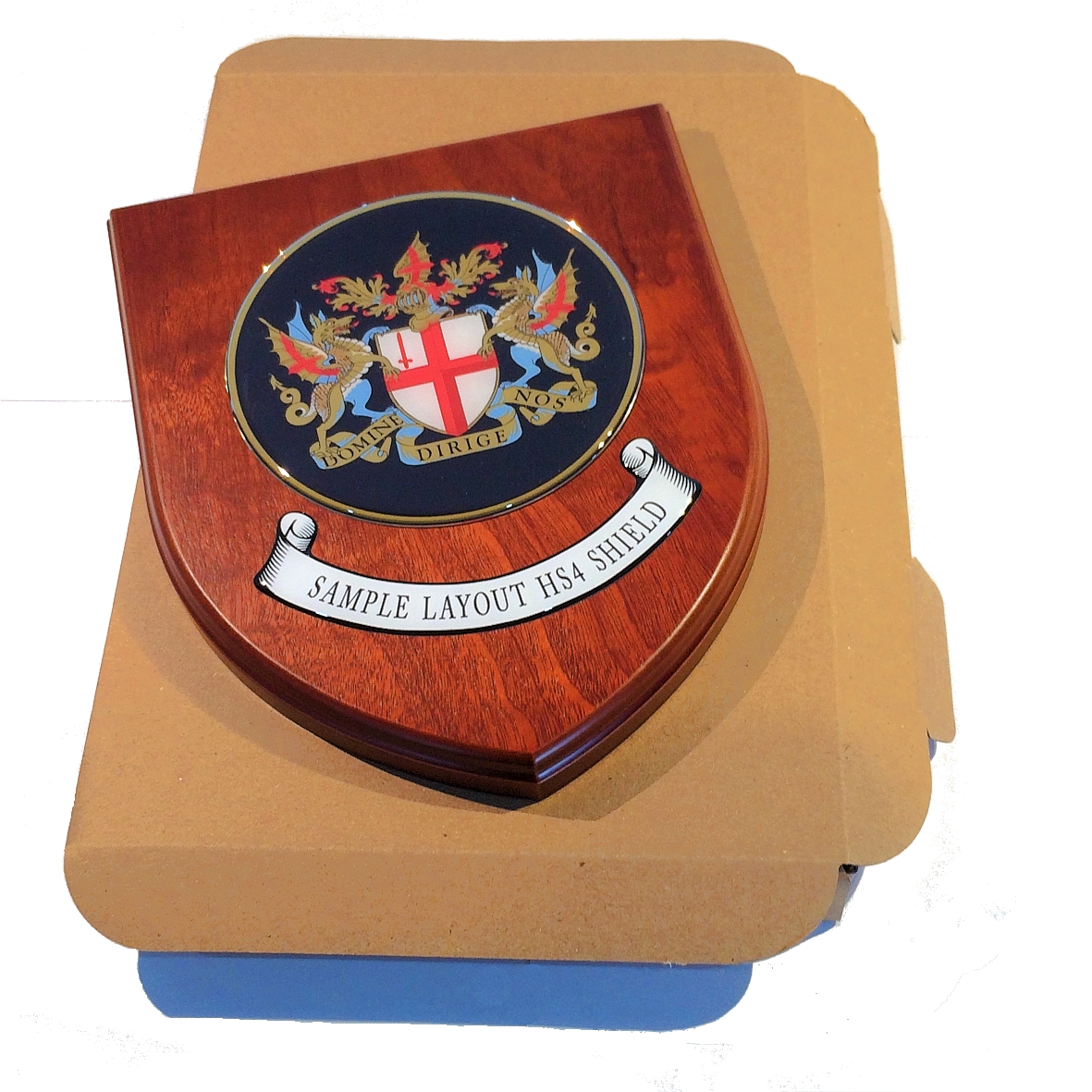 Presentation shield with medium round shaped centrepiece and scroll.
