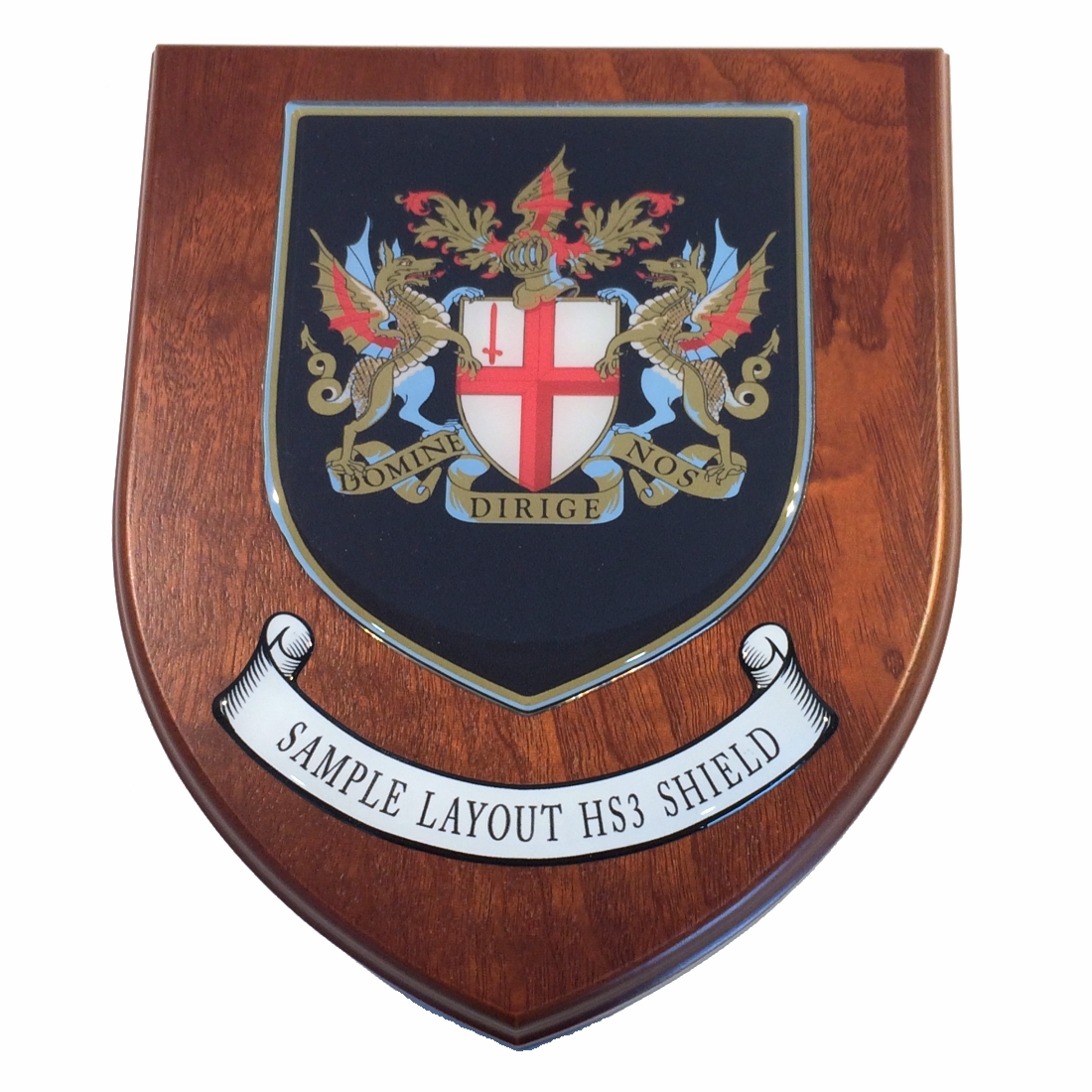 Presentation shield with medium shield shaped centrepiece and scroll.