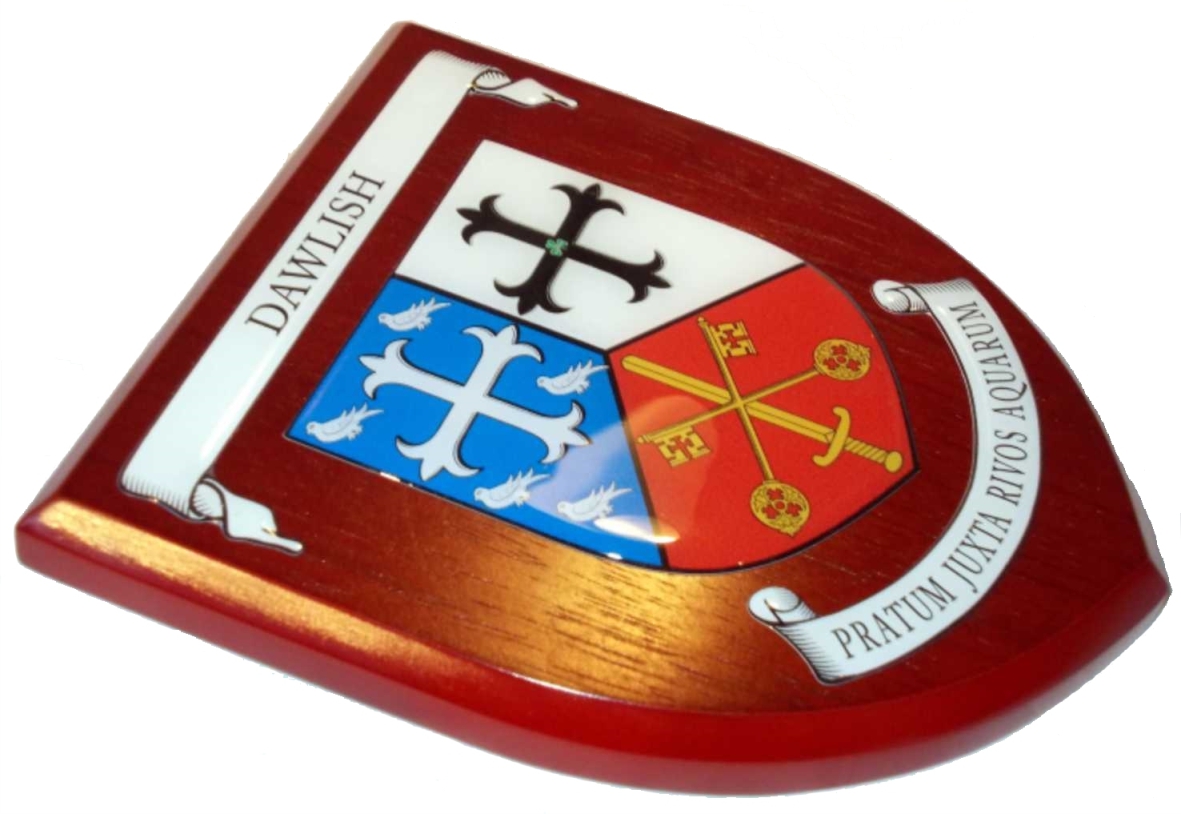 Presentation shield with shield shaped centrepiece and two seperate scrolls.